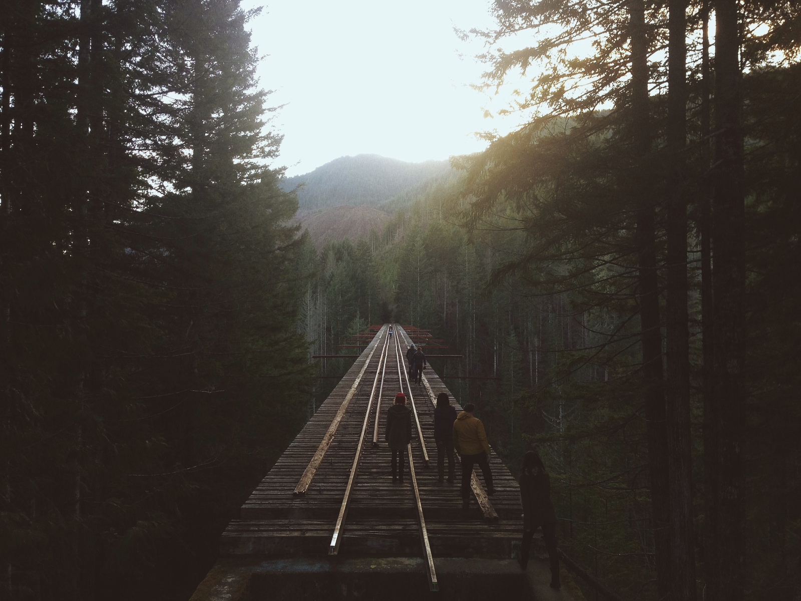 The Vance Creek Bridge - Bridge, Nature, Beautiful view, Lost in Time, Longpost