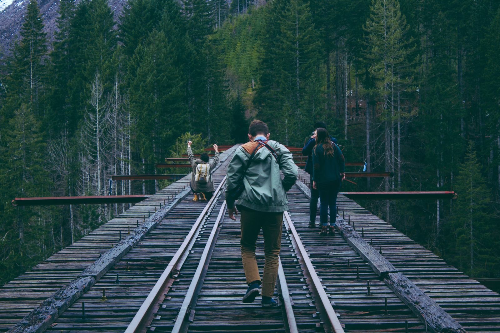 The Vance Creek Bridge - Bridge, Nature, Beautiful view, Lost in Time, Longpost