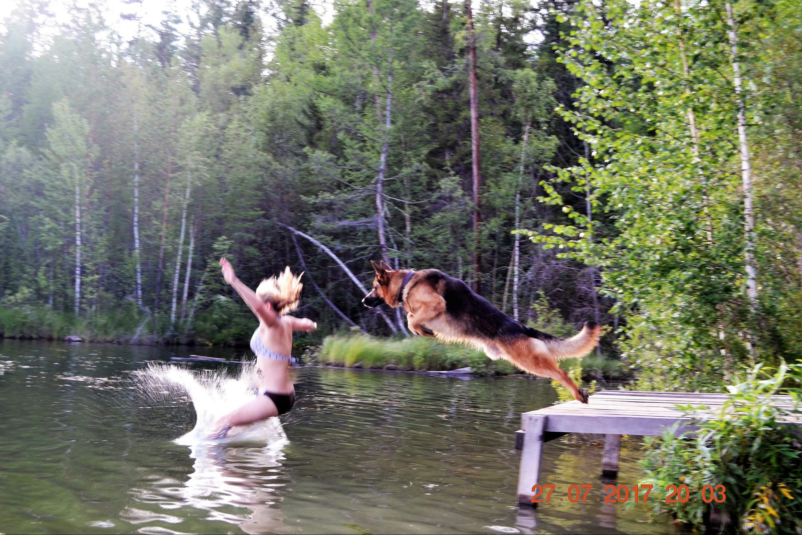 Dog handler's rest - My, Bathing, Lake, Dog, Bathing