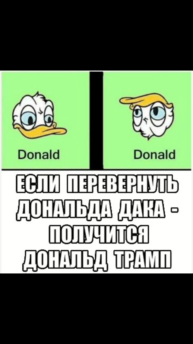 Трамп - Дак - Дональд Трамп, ВКонтакте