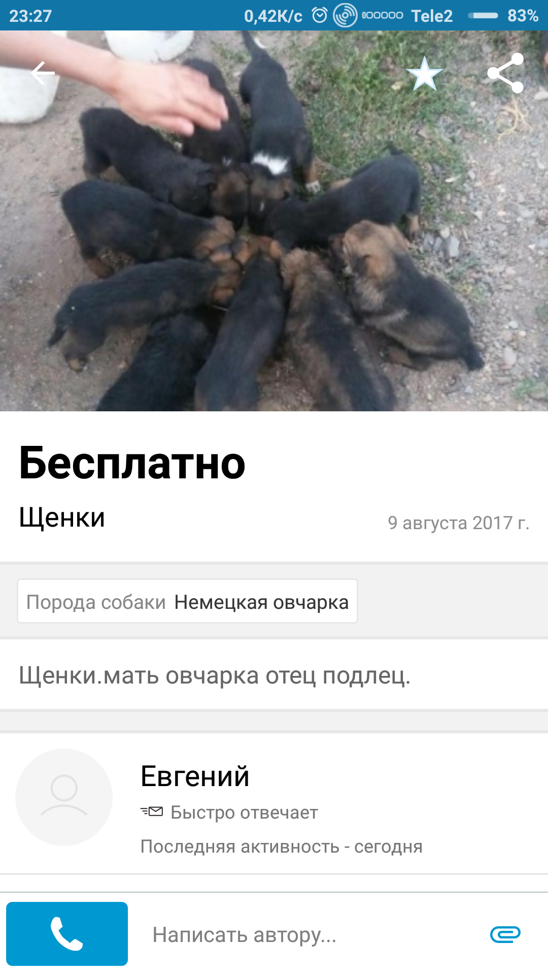 scoundrel father - Olx, Puppies, Astana