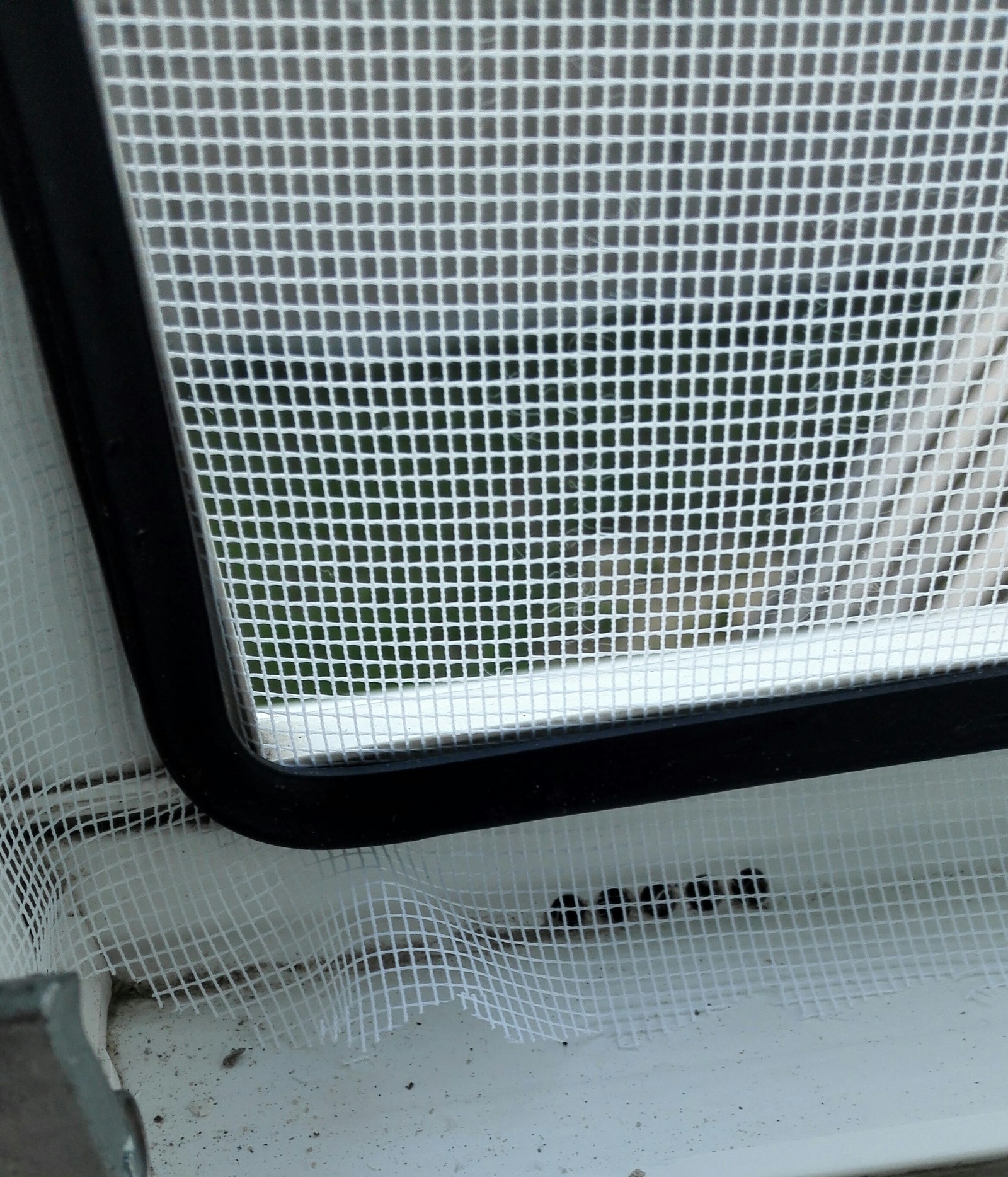 Рамочная москитная сетка: купить рамочные москитные сетки на пластиковые окна в Туле