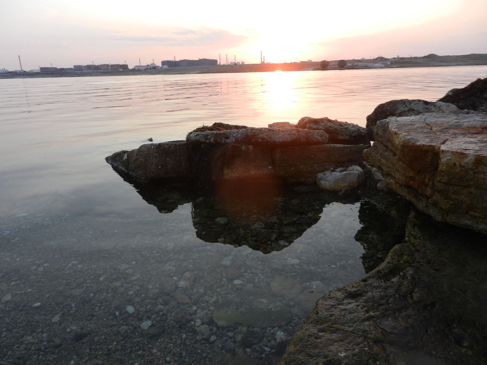 The world of the wild beach is under our feet - My, Beach, Wild beach, Attentiveness, Nature, wildlife, Shore, Sea, Longpost