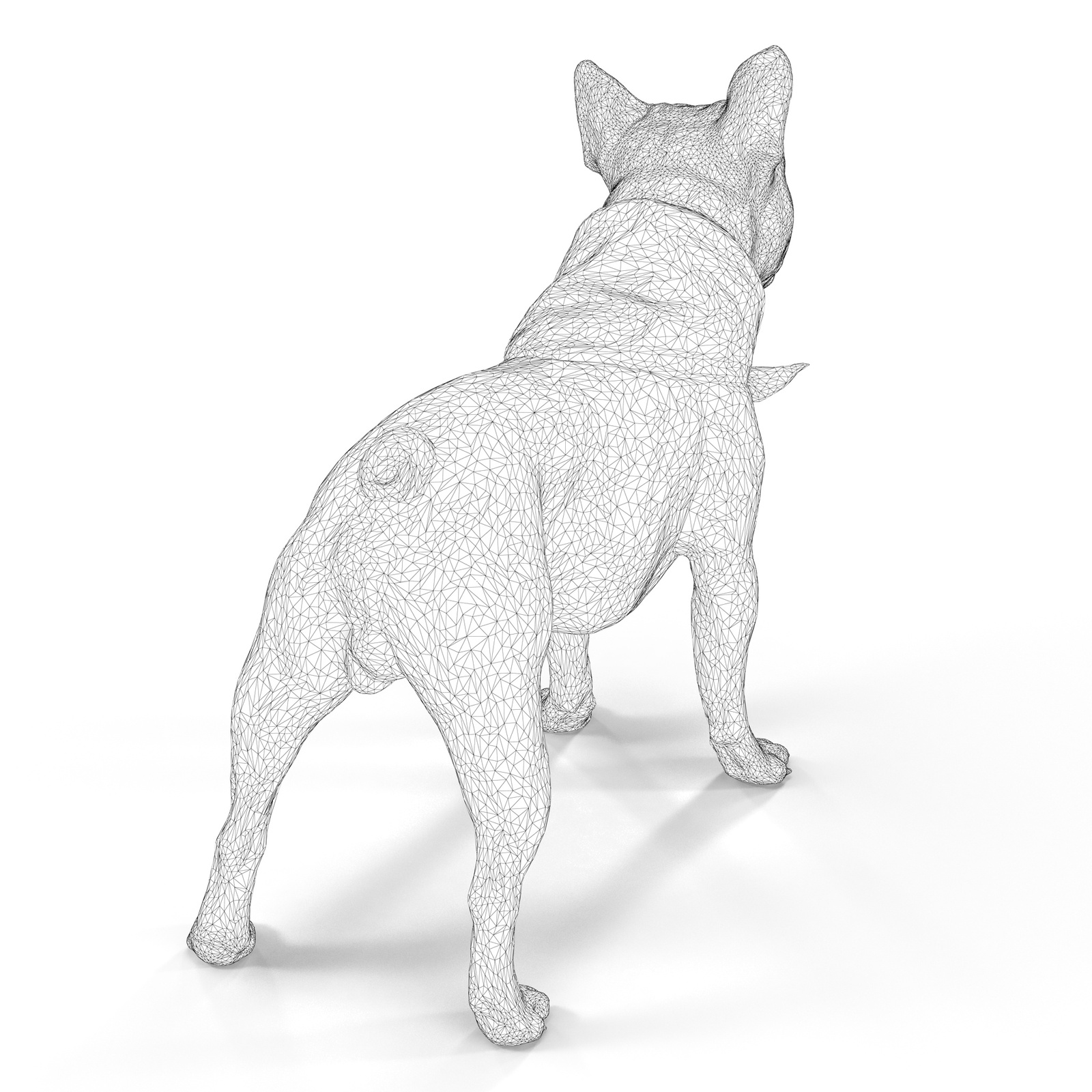 Scanned french bulldog - My, Scanning, 3D Scanner, Dog, Work, Render, 3DS max, Vray, Longpost