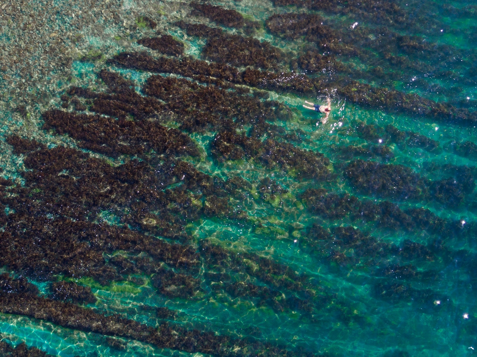 Elemental border. - My, Novorossiysk, Myskhako, Black Sea, Drone, Quadcopter, Aerial photography, Sea, Resorts of the Krasnodar Territory, Longpost