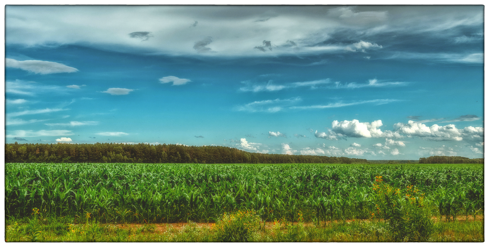 Open spaces - My, Nature, Landscape, Rainbow, Longpost