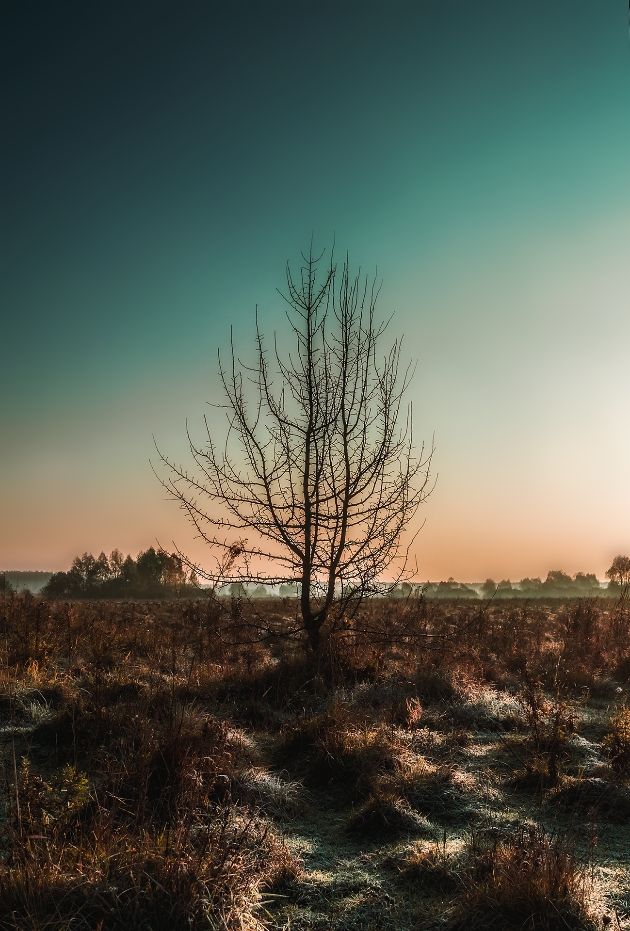 Open spaces - My, Nature, Landscape, Rainbow, Longpost