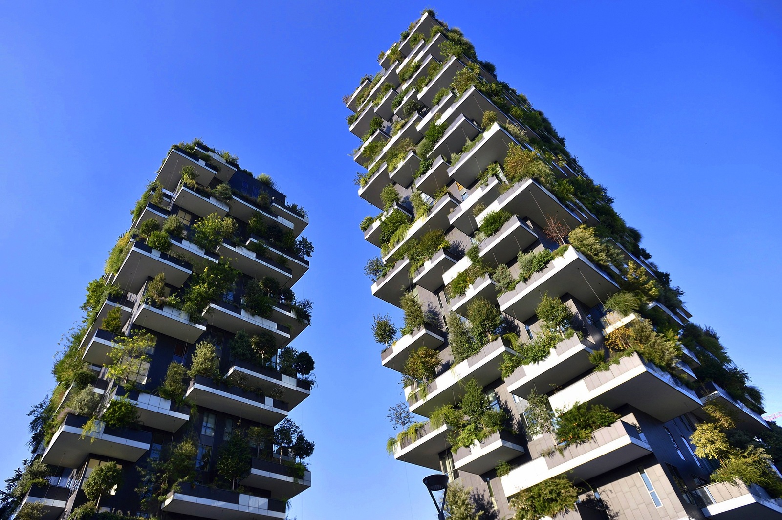 «Вертикальный лес» (итал. Bosco Verticale) — жилой комплекс из двух башен высотой 110 и 76 метров в Милане, Италия - Моё, Архитектура, Италия, Путешествия