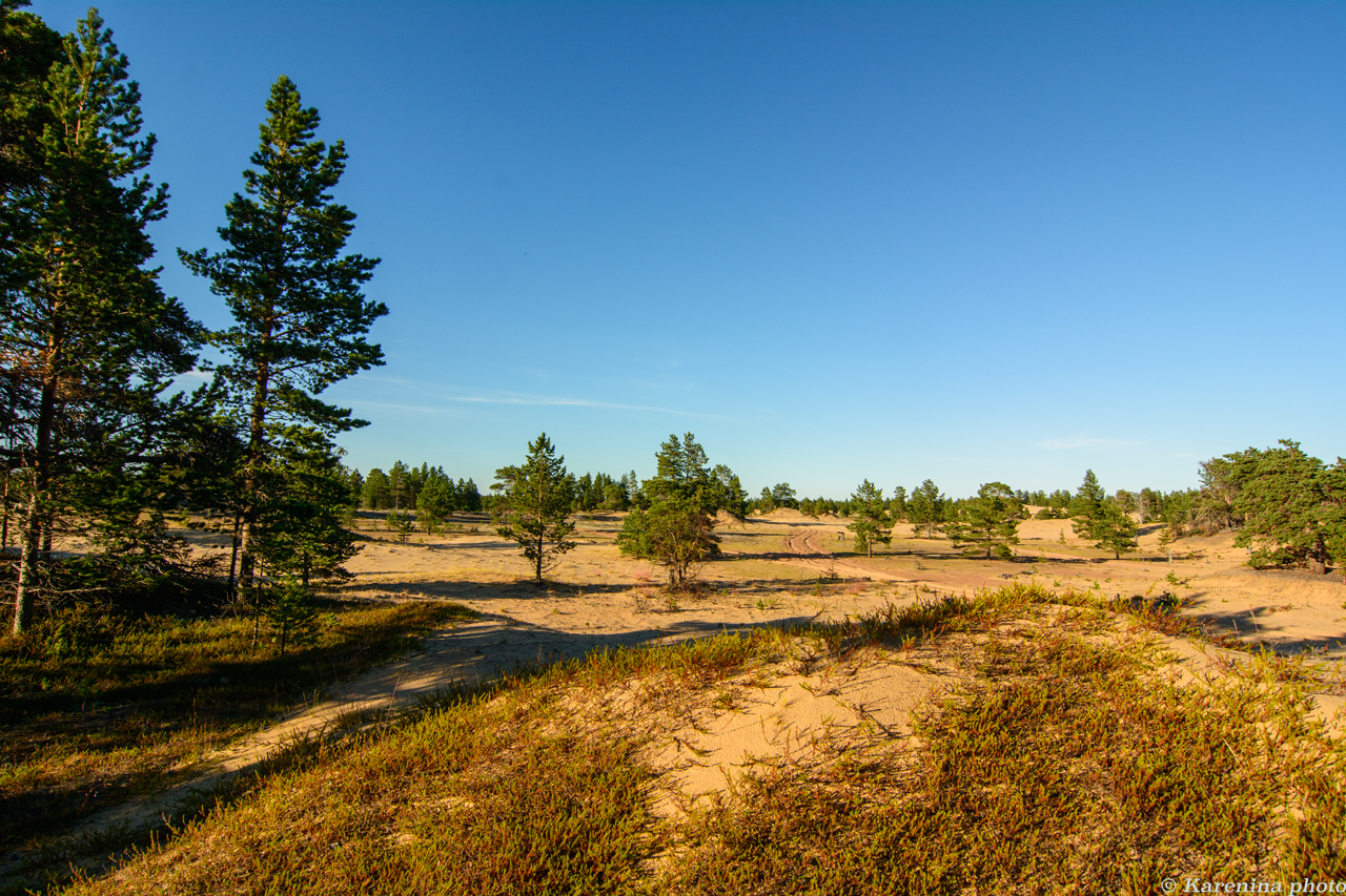 Journey to the Kola Peninsula. Part 3. Varzuga and Kuzomen. - My, Travels, Travel across Russia, North, Summer, Kola Peninsula, Longpost, Varzuga, Kuzomen