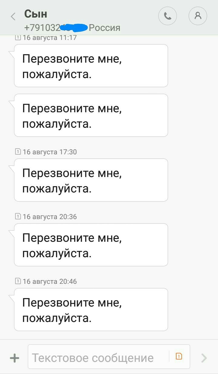 Little Jewess. SMS correspondence with his native son. Moreover, there is always money in the account. Damn beetle) - My, 2 days, Parents and children