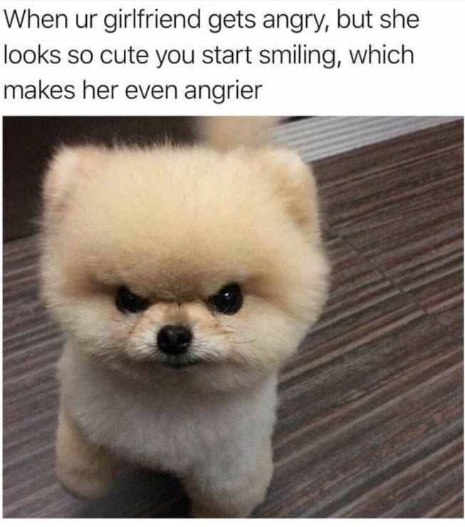 Always like this - 9GAG, Dog, Relationship, Fluffy