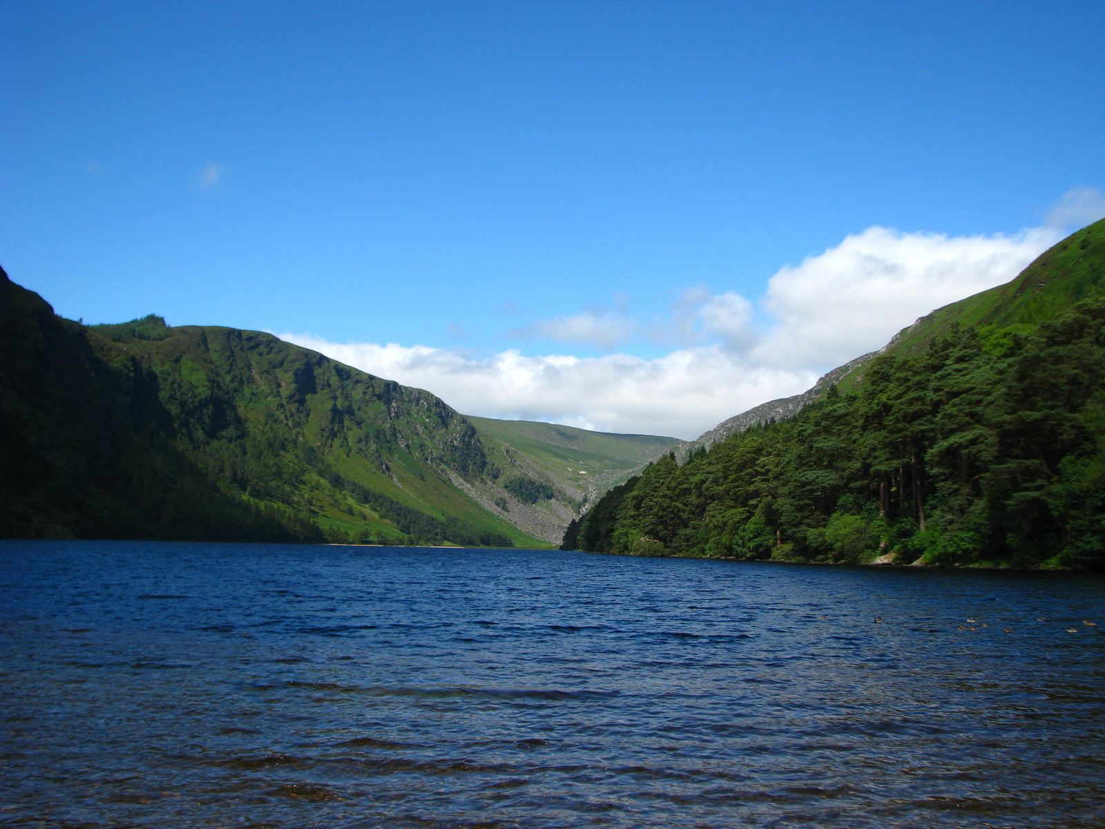 Glendalough - Guinness colored lakes - My, Ireland, , Nature, Tourism, Travels, Lake, Longpost, Dublin