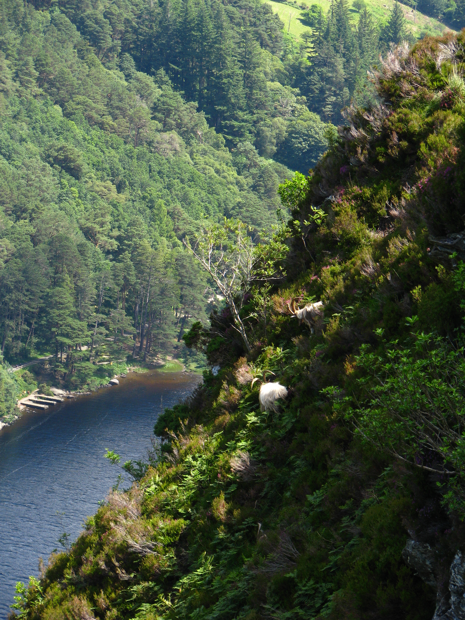 Glendalough - Guinness colored lakes - My, Ireland, , Nature, Tourism, Travels, Lake, Longpost, Dublin