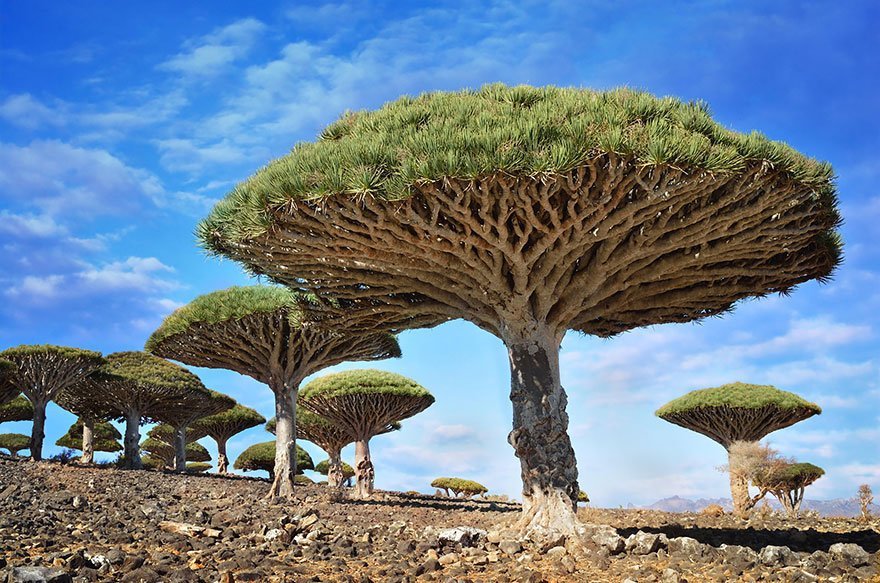 20 places on Earth that look like an alien landscape (part one) - Nature, beauty of nature, Planet Earth, Geography, Exotic, Longpost