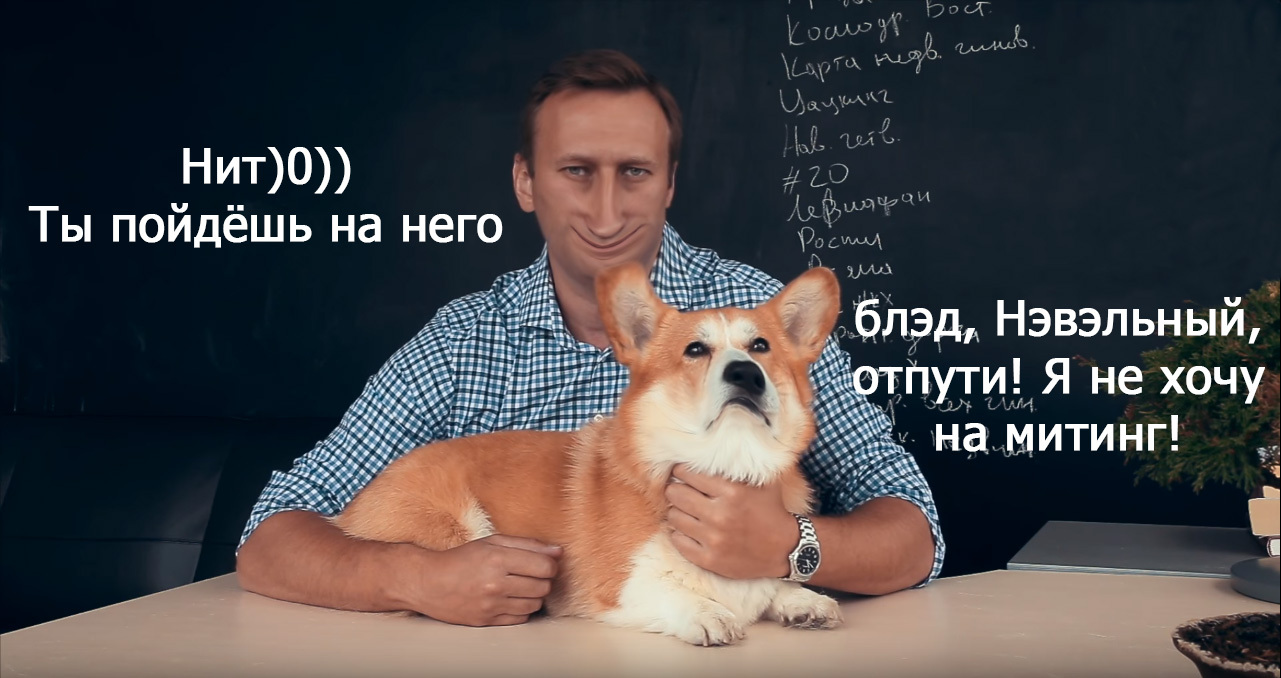 Nevelny, let the dog go - My, 2018, Niputyu, Alexey Navalny, Politics