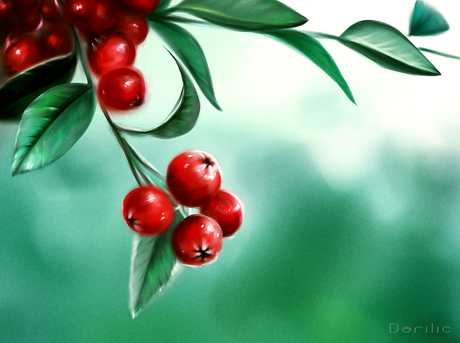 Berries - My, Art, Digital drawing, My, Berries, SAI, Photoshop, Video