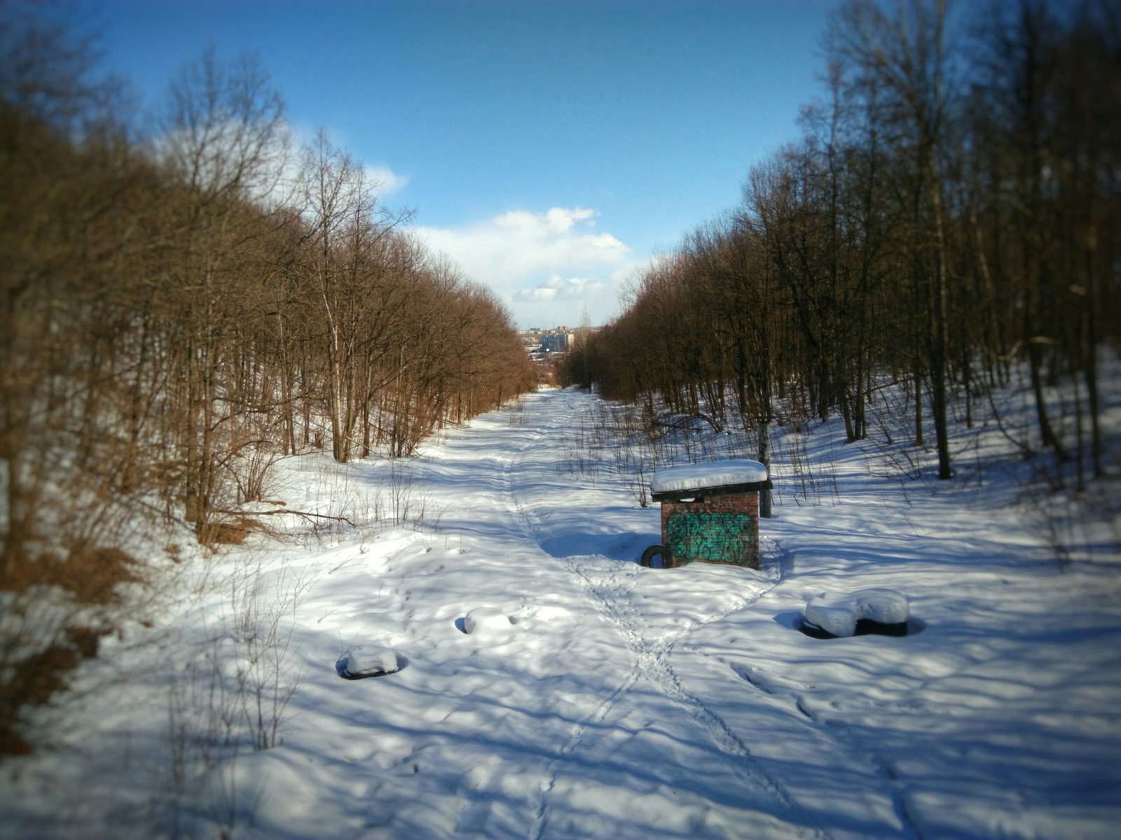 Прошу критики - Моё, Пейзажные фотографии, Кот, Фотография, Фото на тапок, Длиннопост