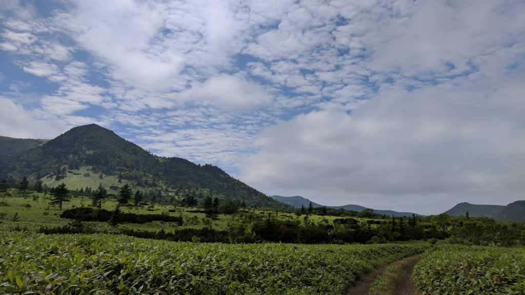 Why is no one going to the Kuriles? (Journey to the End of the World Part 4) - My, Travels, Travel across Russia, Kunashir, , Reserves and sanctuaries, Volcano, South Kurils, Longpost