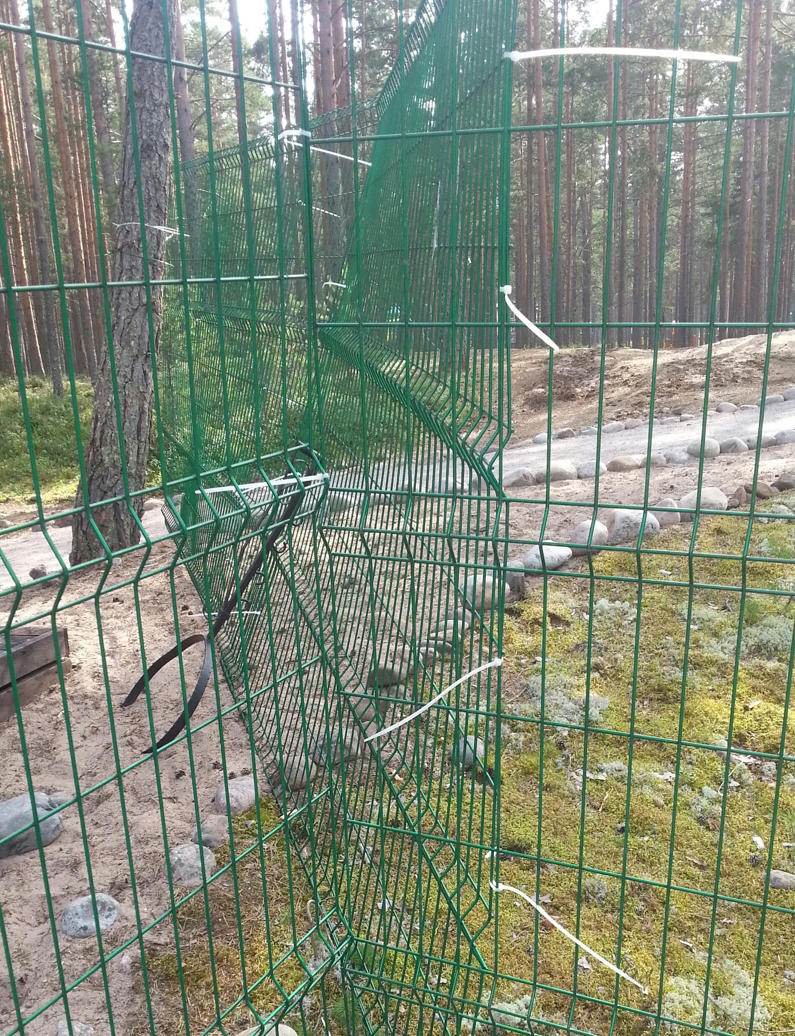 Engineering genius - My, Children's camp, Fence, Engineering, Longpost