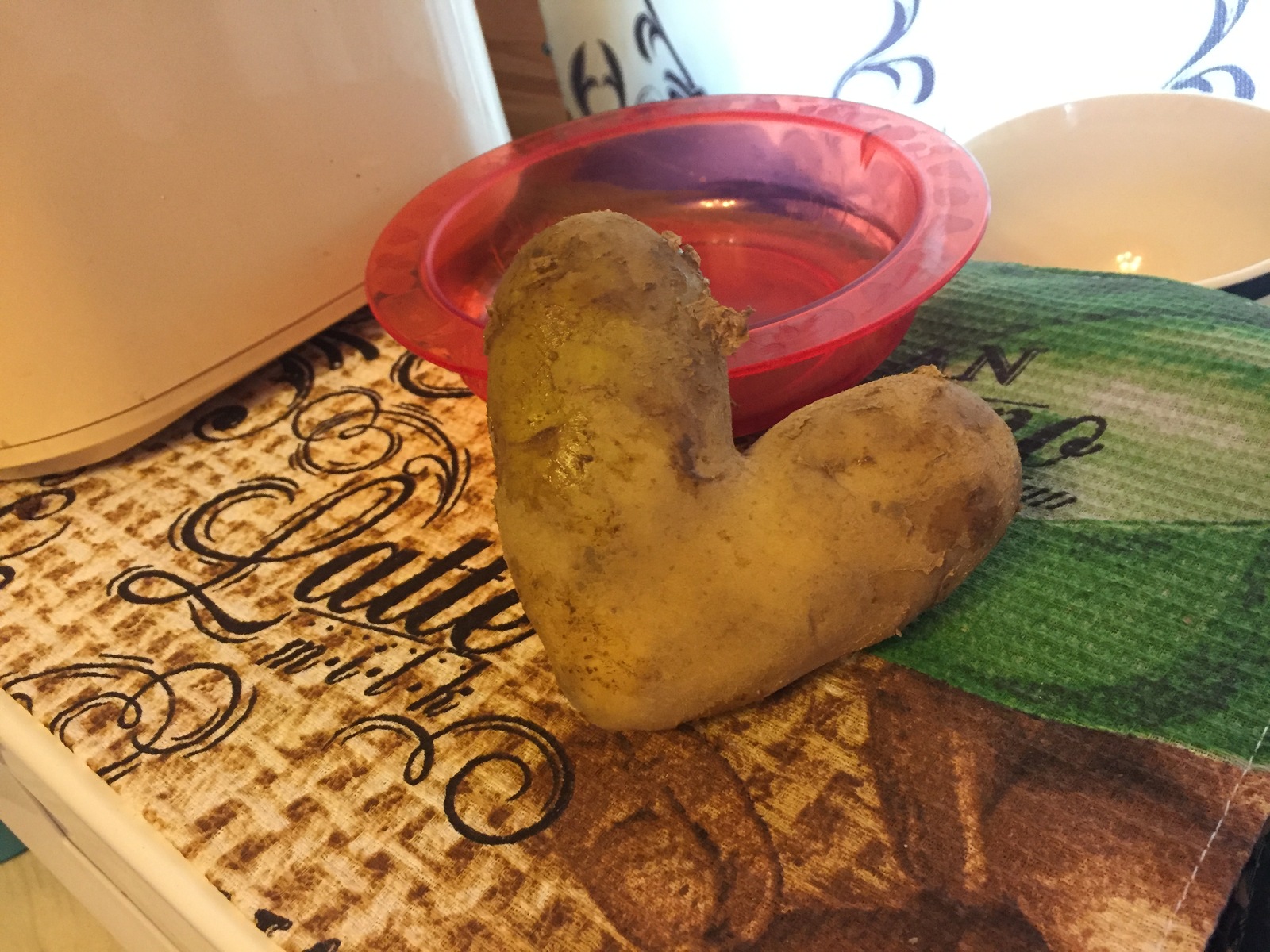 Love is all around us:) - My, Potato, Love