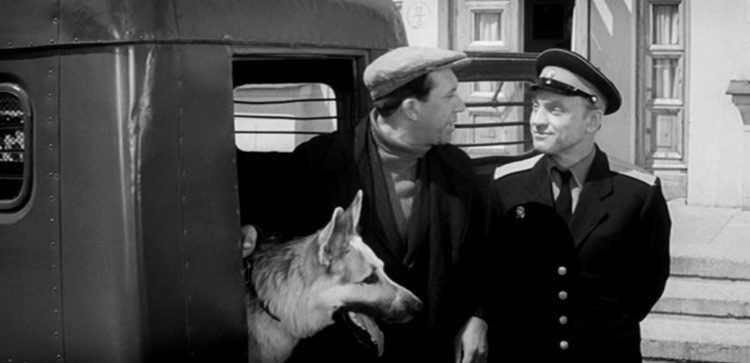 The film Come to me Mukhtar. - Dog, Soviet cinema, Yury Nikulin, Mukhtar, Longpost