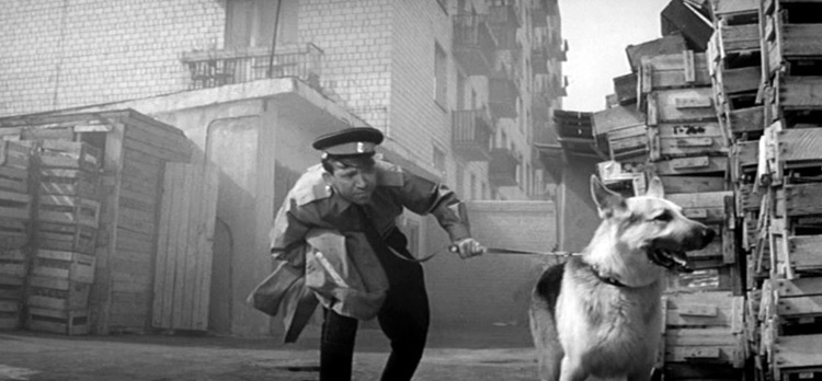 The film Come to me Mukhtar. - Dog, Soviet cinema, Yury Nikulin, Mukhtar, Longpost