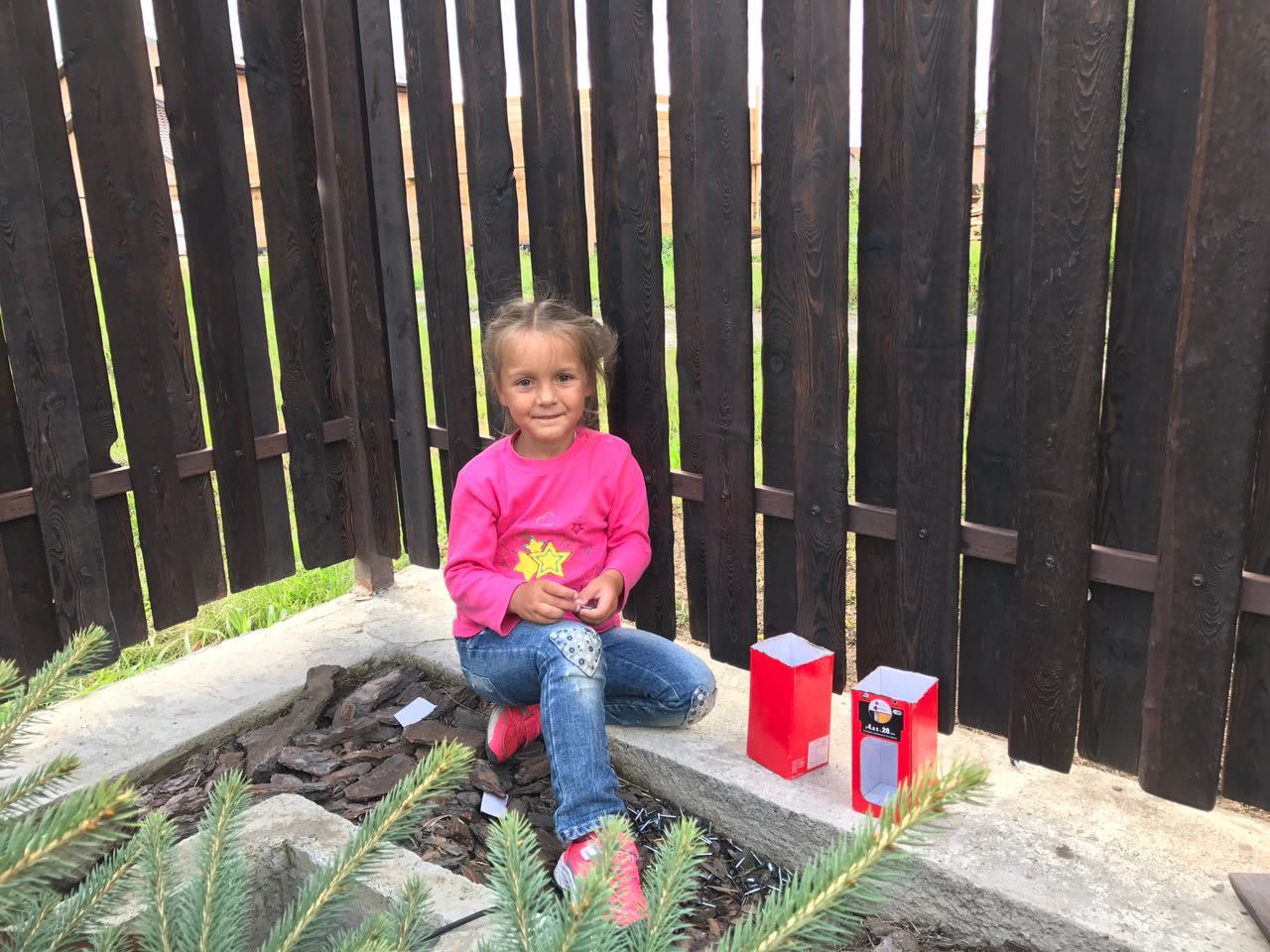 Part 2. It was necessary to wash down the FENCE ... the end. - With your own hands, Tree, Do it yourself, Do it, Brushing, Fuck it, Lot, beauty, Longpost