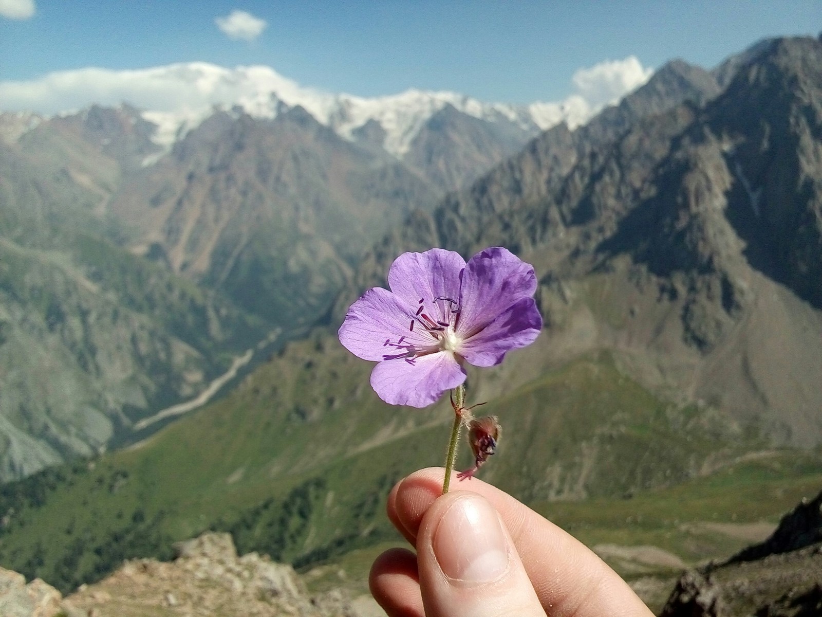Природа | Пикабу
