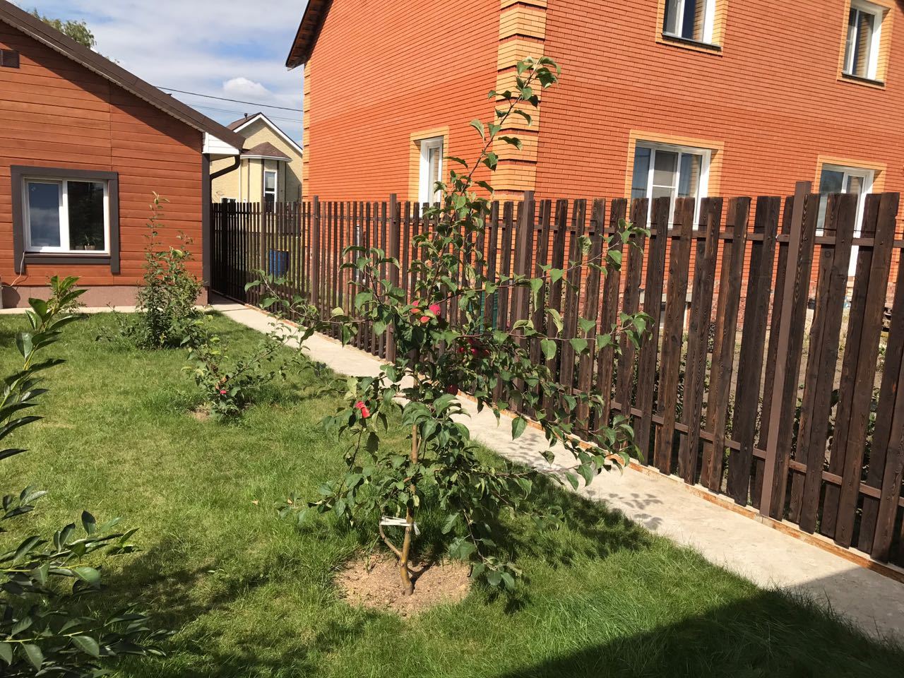 Part 2. It was necessary to wash down the FENCE ... the end. - With your own hands, Tree, Do it yourself, Do it, Brushing, Fuck it, Lot, beauty, Longpost