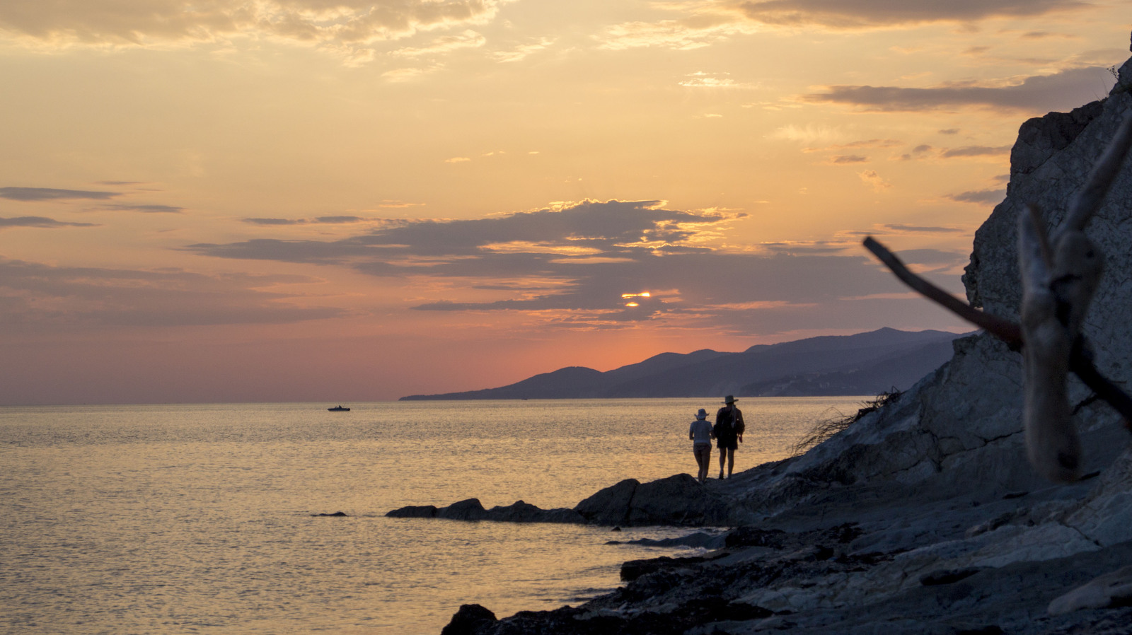 Last trip to the sea before the next move. - My, Dog, , Summer, Beach, Sunset, Greyhound, Sheltie, Irish wolfhound, Longpost