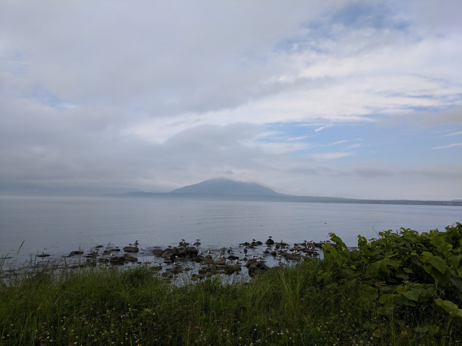 See the Kuriles and not die (journey to the ends of the world, part 5 and last) - My, South Kurils, Travels, Travel across Russia, Kunashir, Shikotan, Longpost, Volcano, Kurilian Bobtail