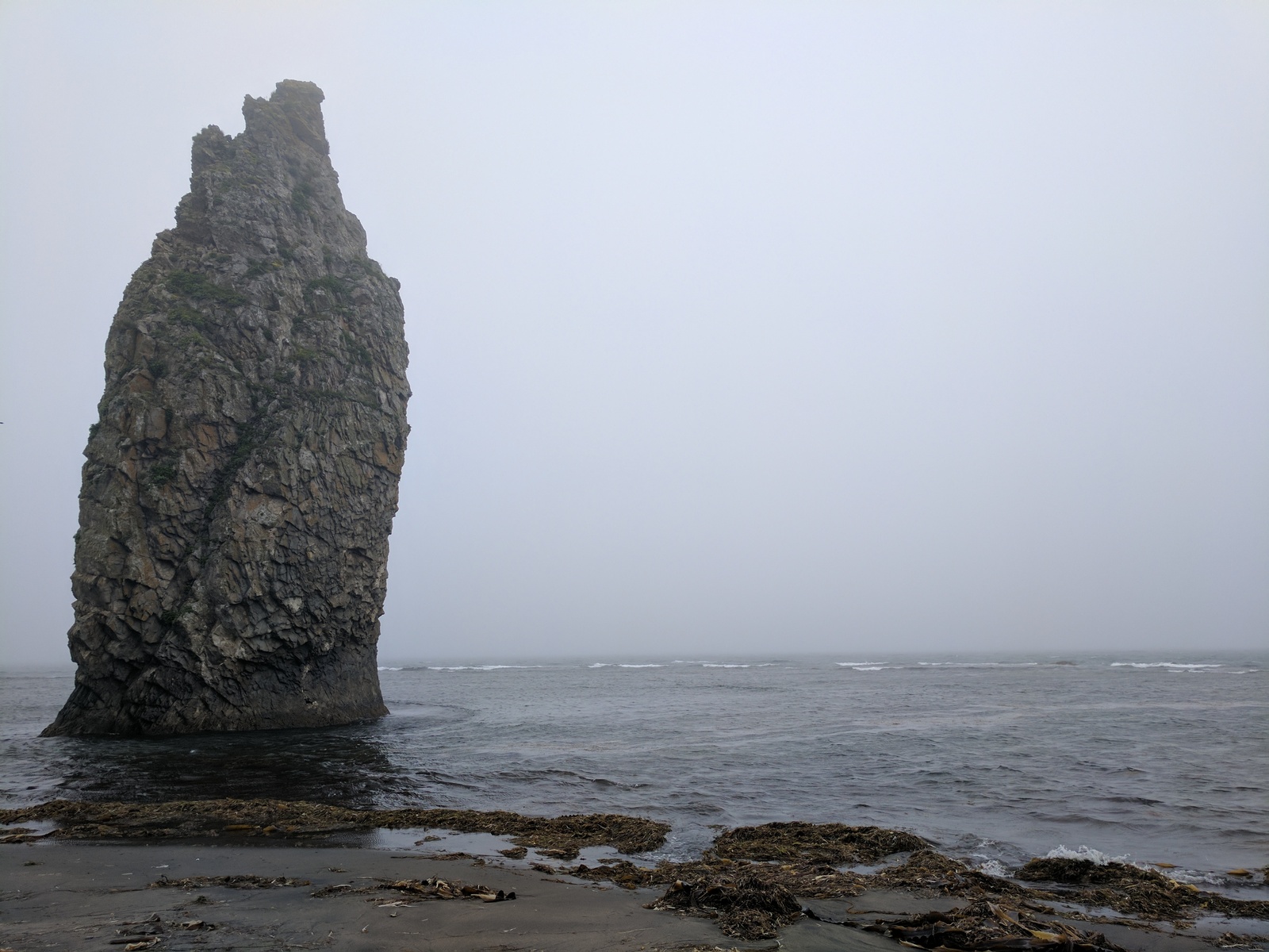 See the Kuriles and not die (journey to the ends of the world, part 5 and last) - My, South Kurils, Travels, Travel across Russia, Kunashir, Shikotan, Longpost, Volcano, Kurilian Bobtail