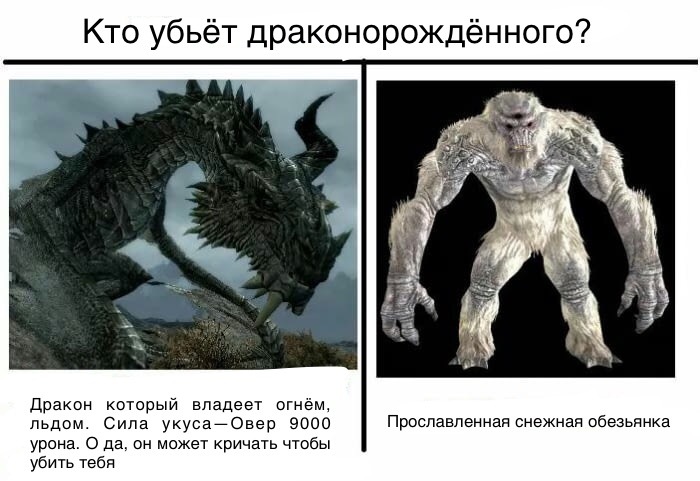 Скайрим для нордов! - 9GAG, Skyrim, The Elder Scrolls, Драконорождённый, Довакин, Игры, Вопрос, Дракон