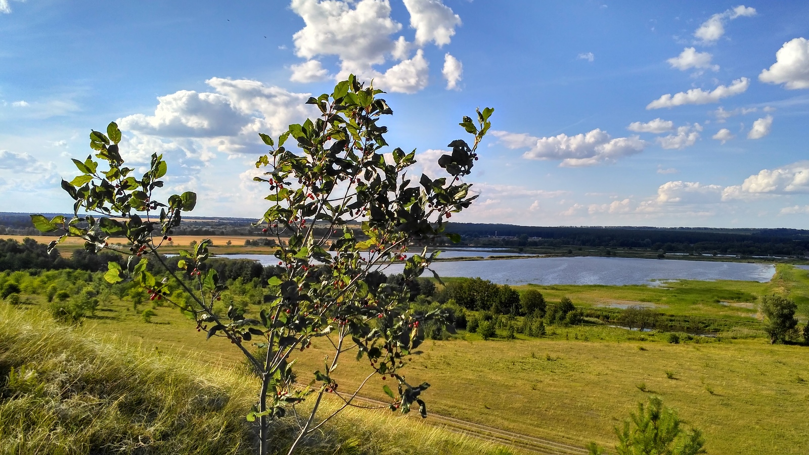 rural spaces. - My, Voronezh region, Landscape, Forest, The photo, Enthusiasm, Village, Nature, Longpost