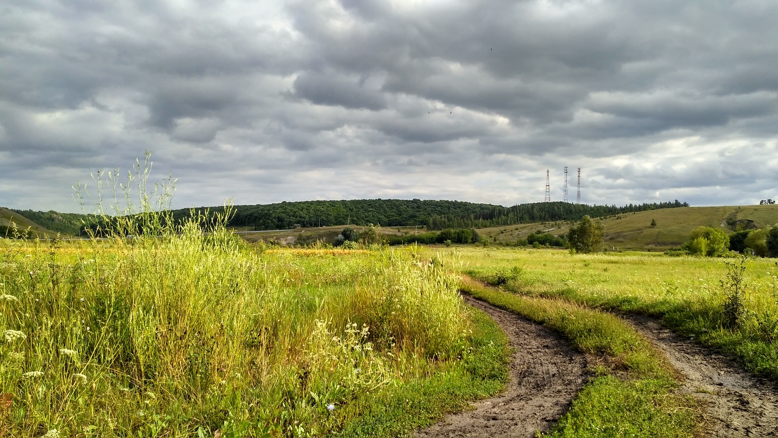 rural spaces. - My, Voronezh region, Landscape, Forest, The photo, Enthusiasm, Village, Nature, Longpost