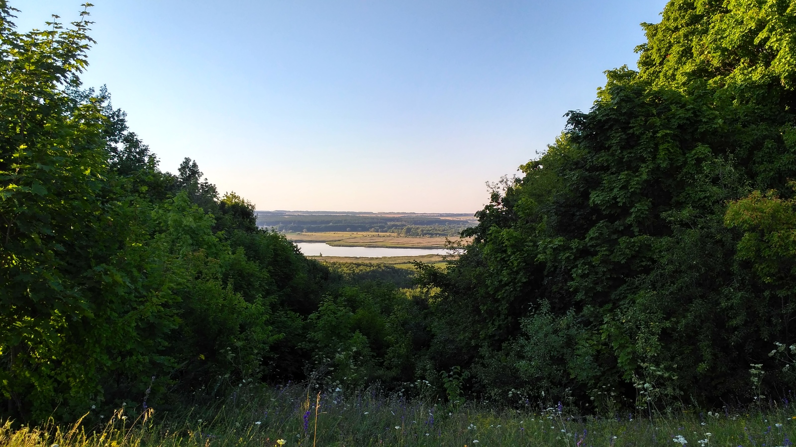 rural spaces. - My, Voronezh region, Landscape, Forest, The photo, Enthusiasm, Village, Nature, Longpost