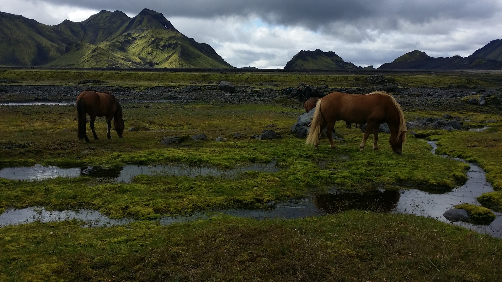 A little about Iceland - 2 - My, Iceland, Interesting, Longpost