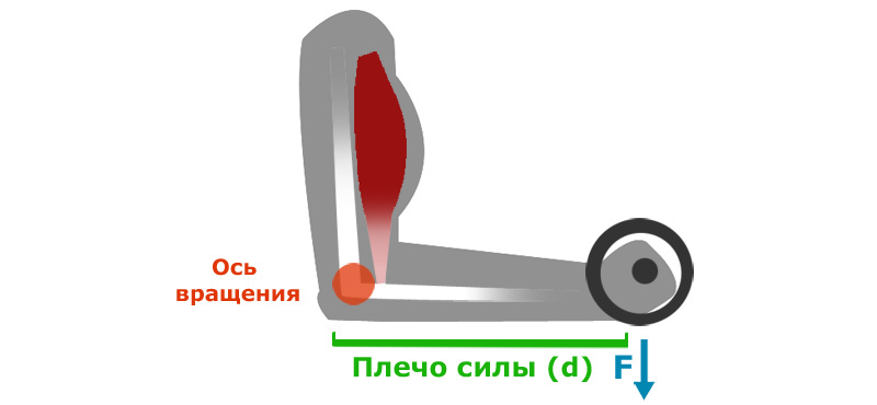 Biomechanics tricks: how to increase the load without changing the weight - My, Biomechanics, Fitness, Exercises, Workout, Gym, Physics, Shoulders, Amplitude, Longpost