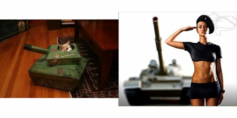 For boobs and cats! - Battle, Boobs, Box and cat, cat, Tanks