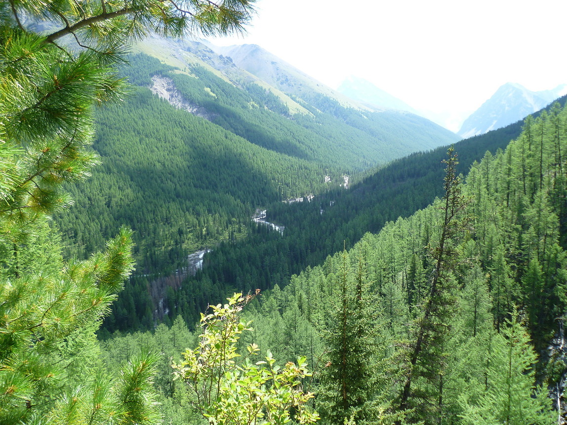 My first trip. - My, Altai, Hike, Tourism, Shavlin Lakes, Nature, Travels, Longpost, Altai Republic