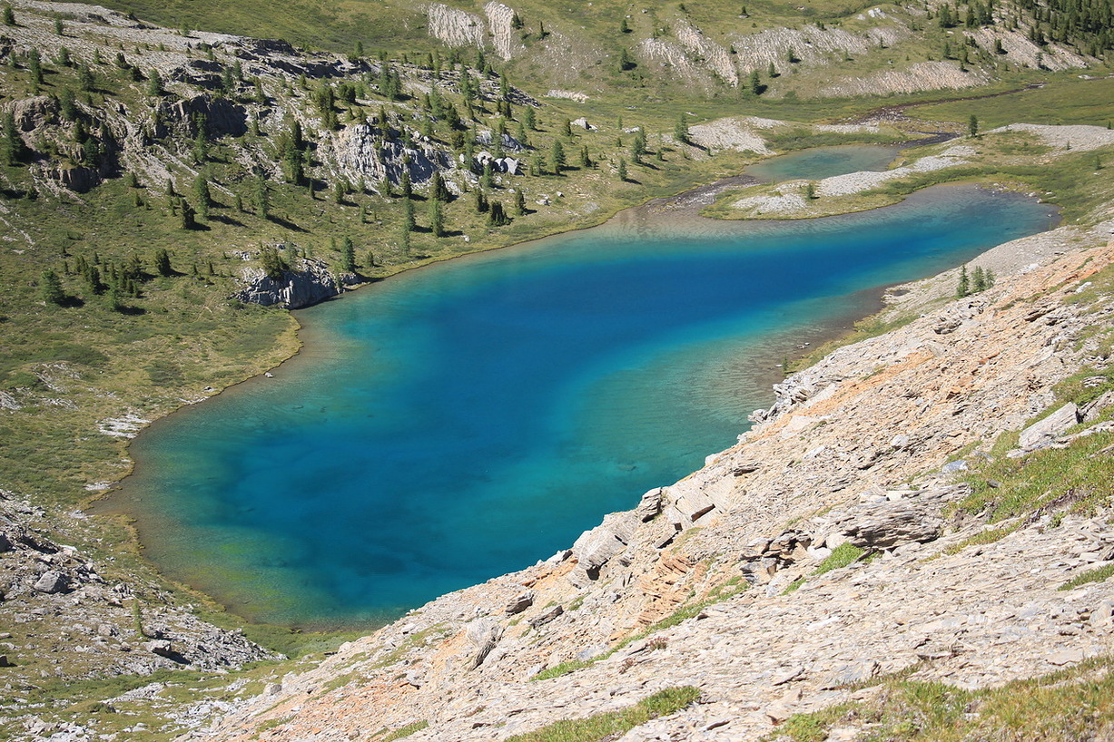 My first trip. - My, Altai, Hike, Tourism, Shavlin Lakes, Nature, Travels, Longpost, Altai Republic