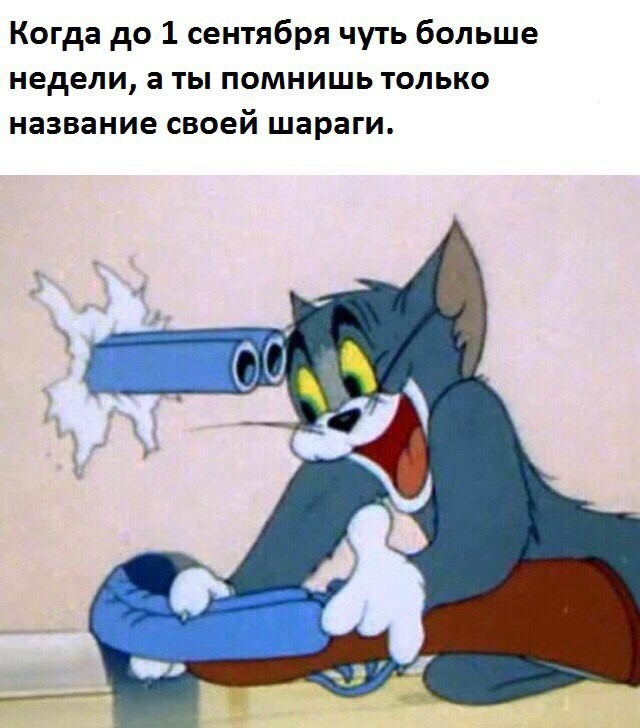 У вас большие запросы!