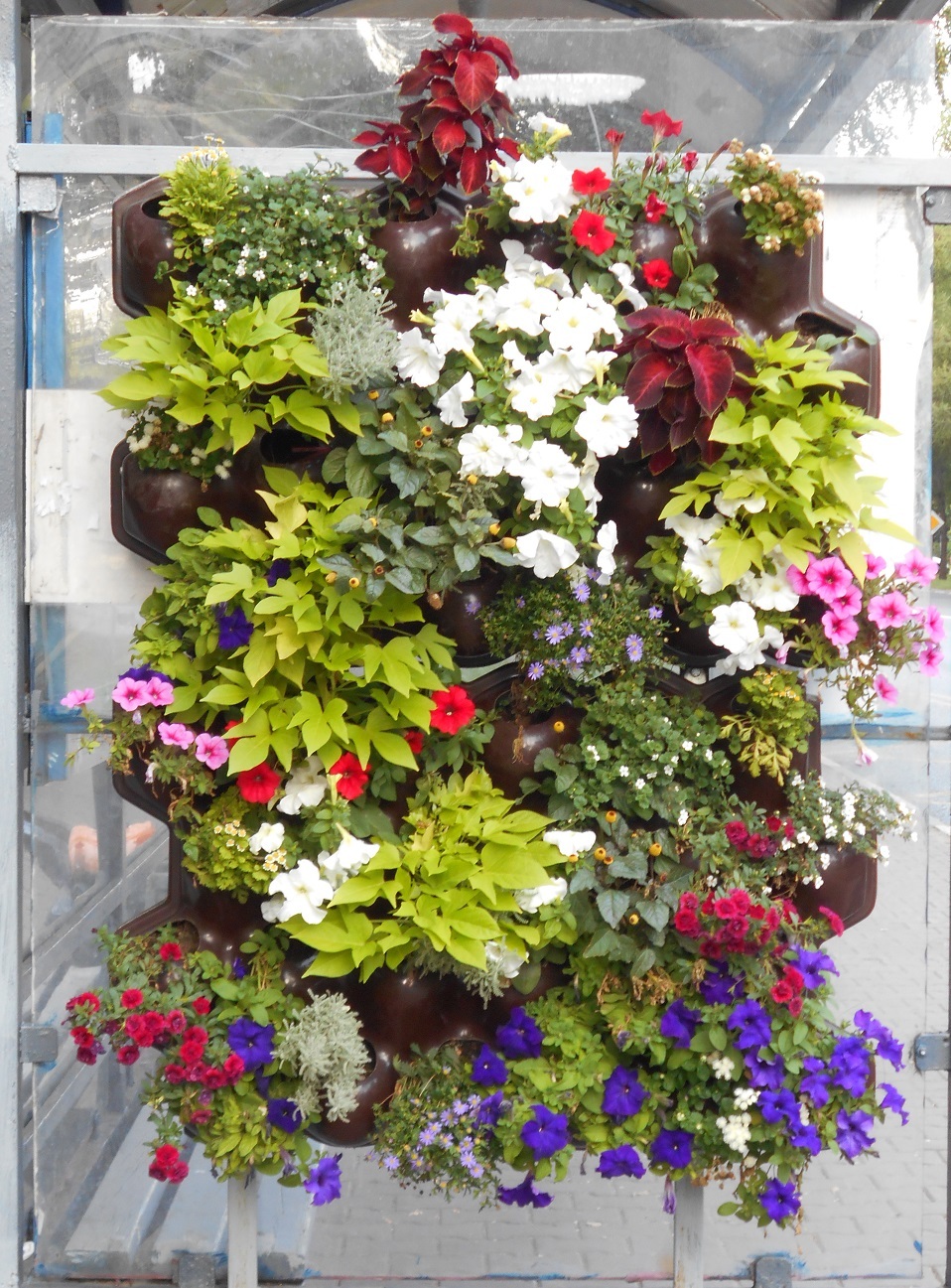 Modular hinged vertical flower bed - My, The photo, Vase, Flower bed, Flowers, Plants, Beautification, Moscow region, Beautiful, Longpost