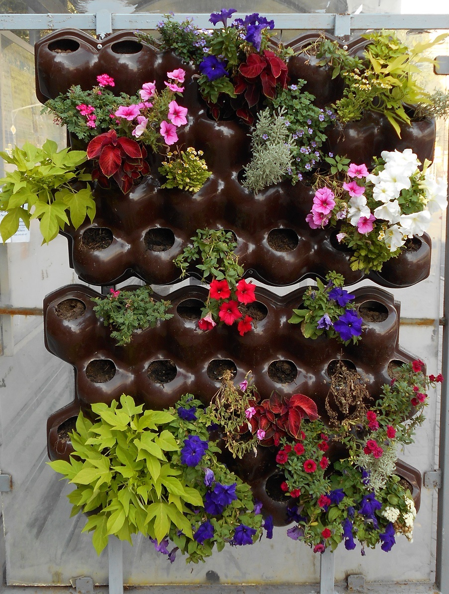 Modular hinged vertical flower bed - My, The photo, Vase, Flower bed, Flowers, Plants, Beautification, Moscow region, Beautiful, Longpost