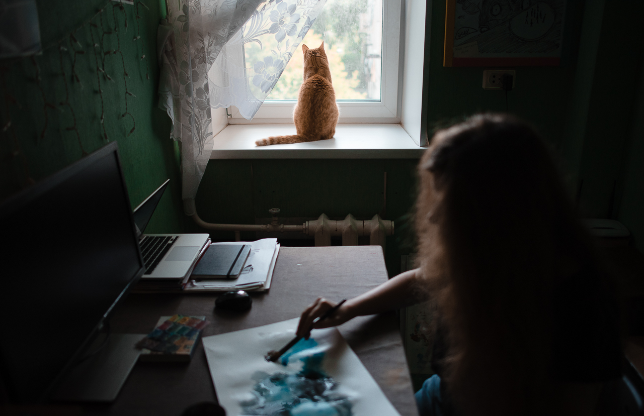 Near the window - My, The photo, cat