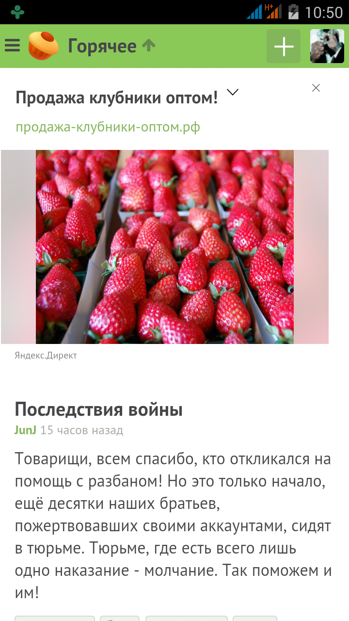 Yandex sees a shortage of strawberries on Peekaboo!) - My, Strawberry, Wholesale, Strawberry riot, Strawberry (plant)