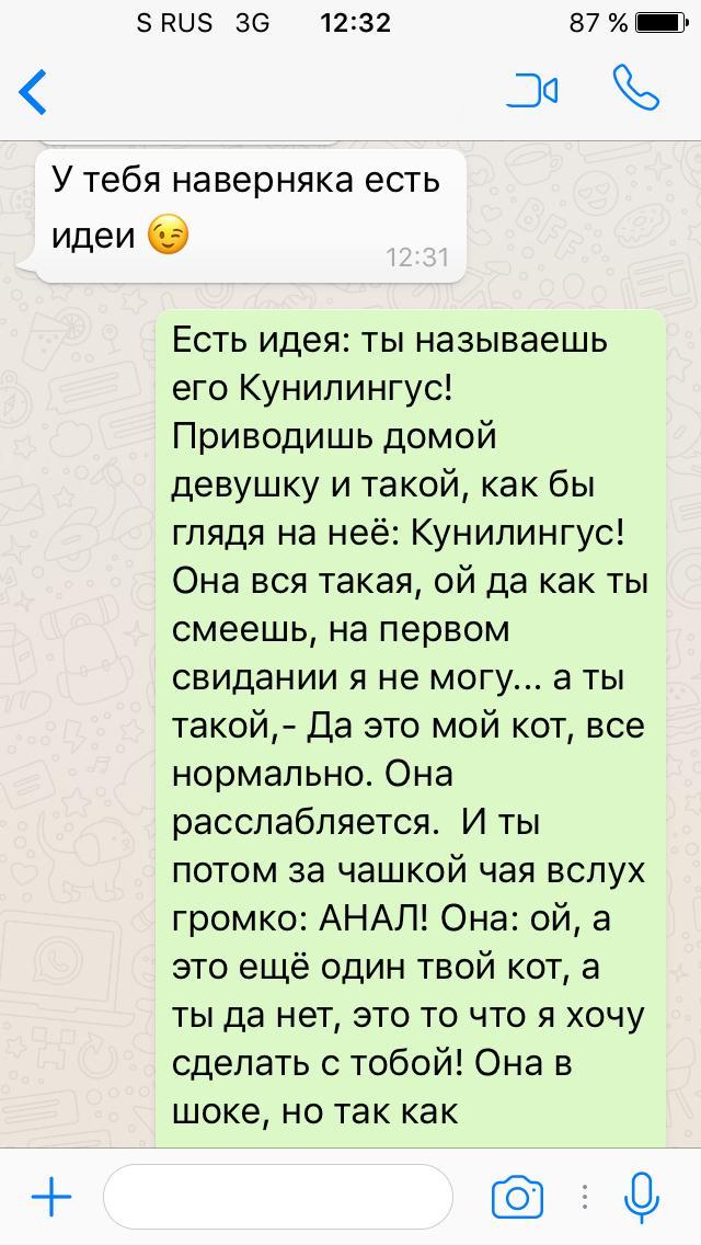 Что в имени тебе Кота моего... - Имена, Кот, Личная жизнь, Хорошая идея, Длиннопост