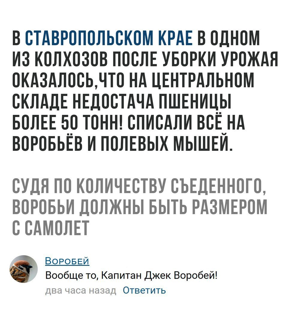 Капитан Джек Воробей - Капитан, Воробей, Недостача