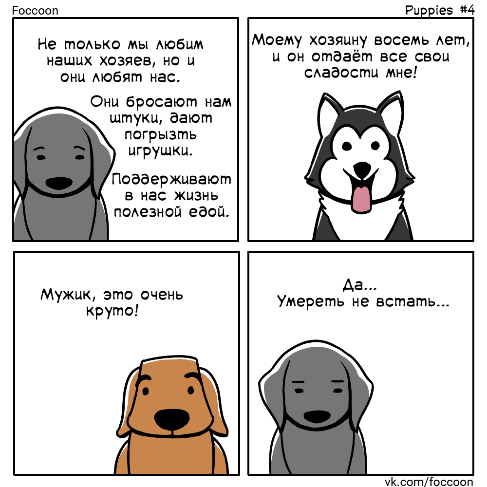 Dogs - My, Foccoon, Comics, Dog, Pet, Tag, , Longpost, Pets