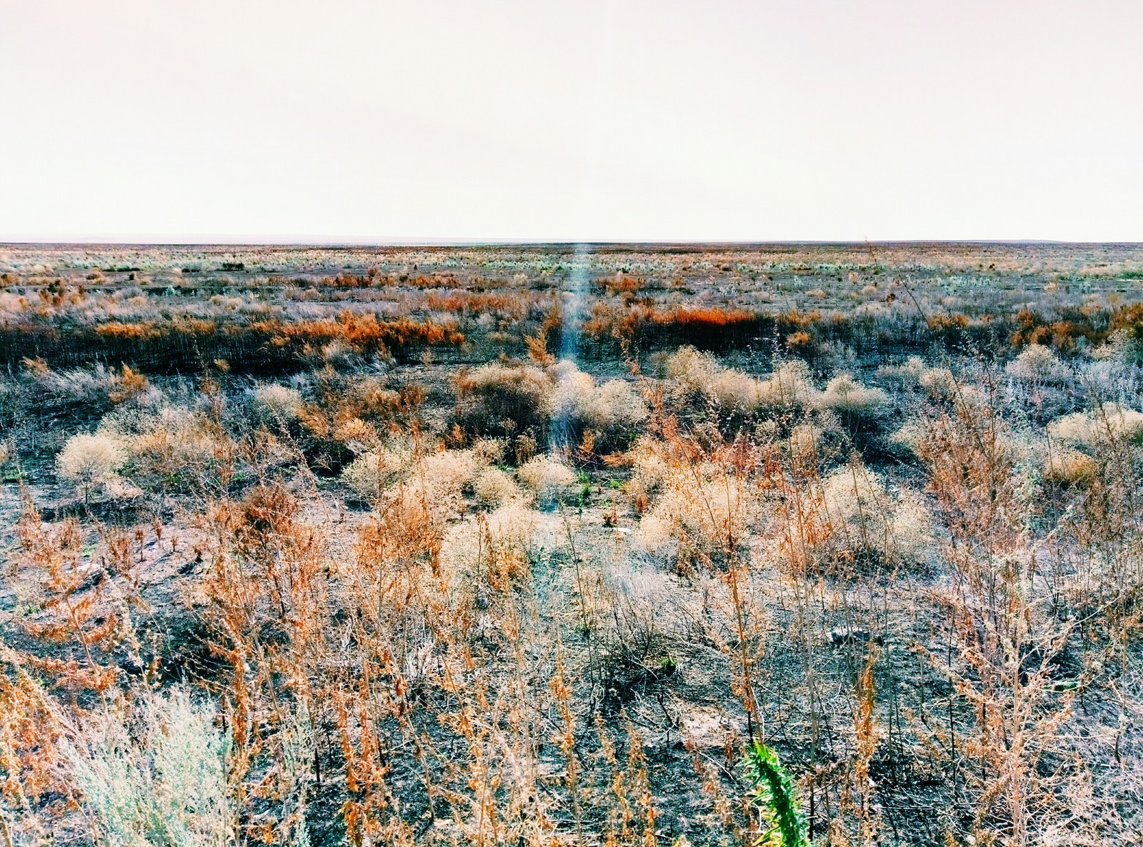 Little trip. - My, Road trip, Fire, Steppe, River, , Longpost